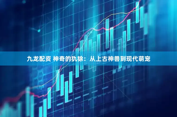 九龙配资 神奇的犰狳：从上古神兽到现代萌宠
