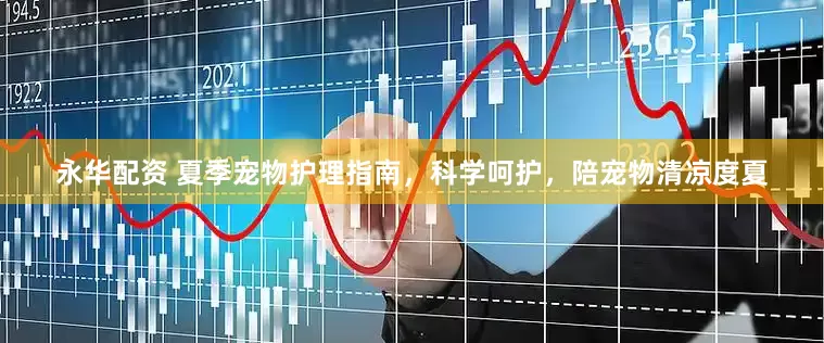 永华配资 夏季宠物护理指南，科学呵护，陪宠物清凉度夏